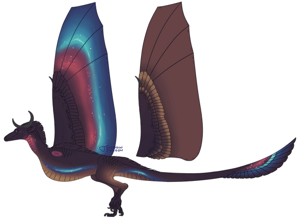 Clean Fullbody