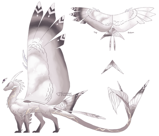 Clean Fullbody