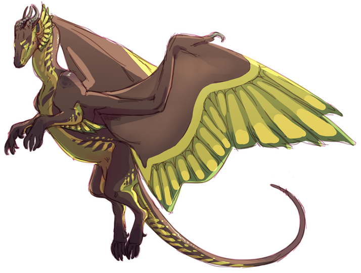 Sketch + Simple Shading